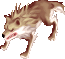 Lobo do Deserto