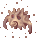 Pungus