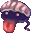 Molusco